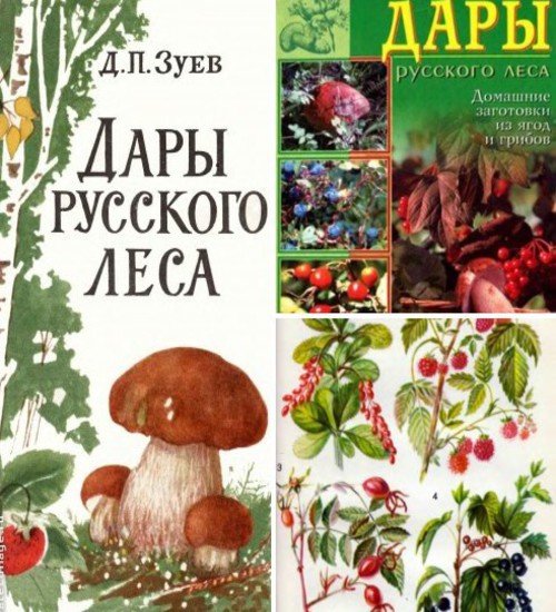 ПРО ЩЕДРУЮ РОДИНУ, ДАРЫ ЛЕСА И ЖИЗНЬ